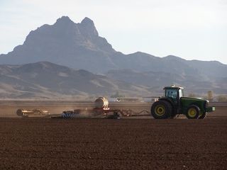Desert-farms